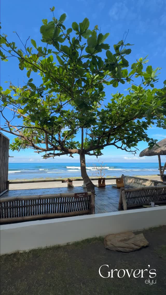 Lush beachfront tree framing the brilliant blue La Union sea at Grover's